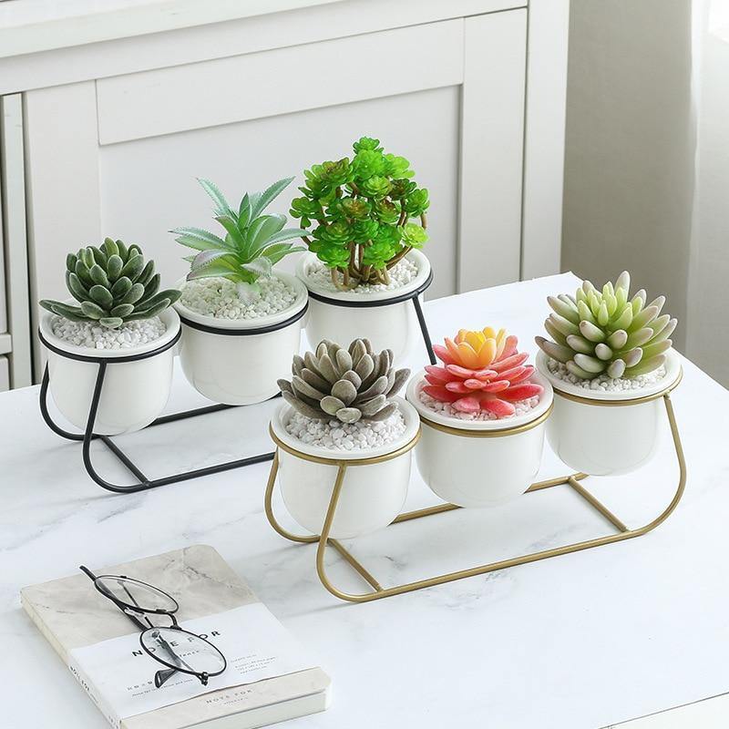 Bacci Home – Metal Sled with Succulents