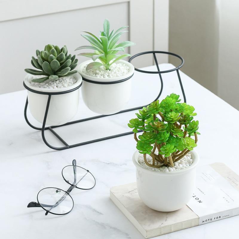 Bacci Home – Metal Sled with Succulents