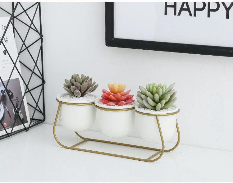 Bacci Home – Metal Sled with Succulents
