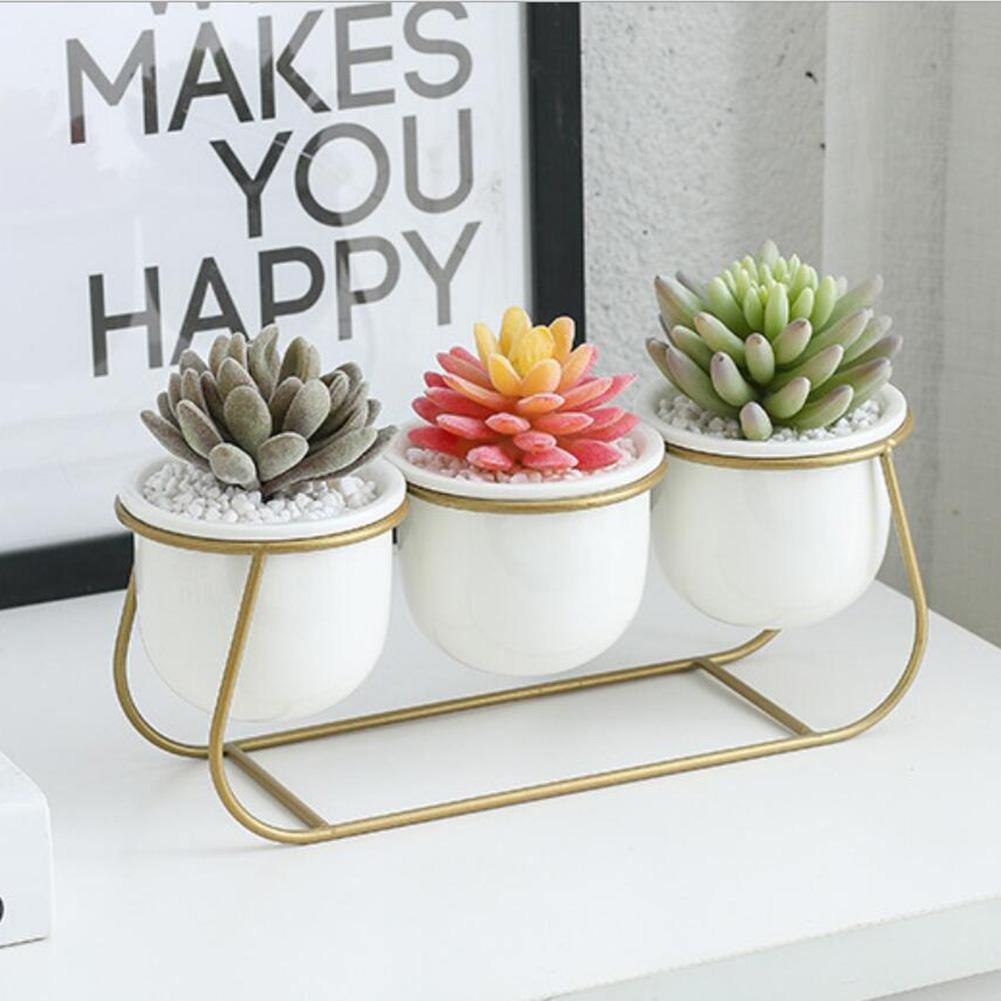 Bacci Home – Metal Sled with Succulents