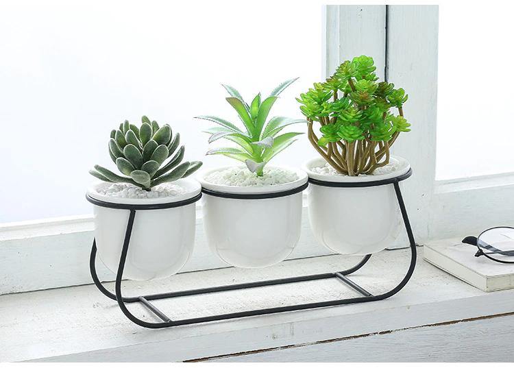 Bacci Home – Metal Sled with Succulents