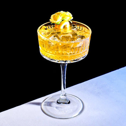 Bacci Home – Two-Piece Cocktail Glass Set